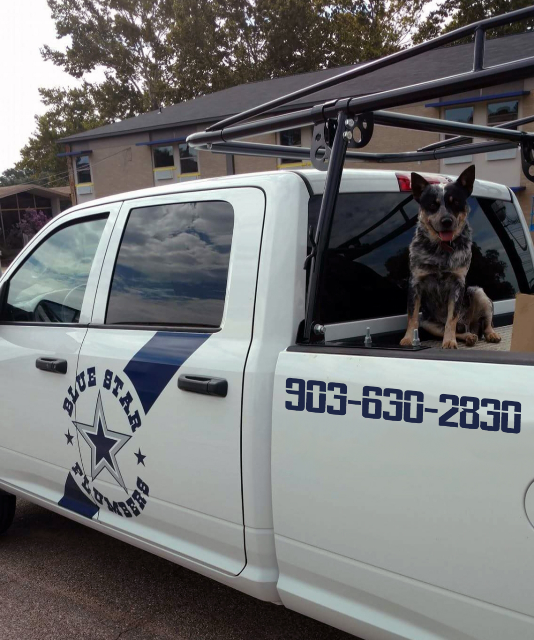 BLUE STAR PLUMBERS MASCOT